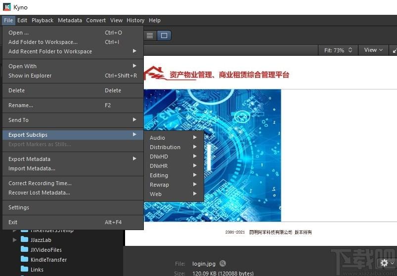 Lesspain Kyno下载,多媒体管理工具,媒体管理