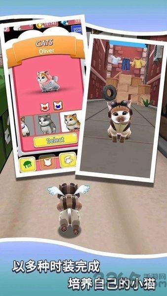 小猫跑酷最新版下载,小猫跑酷,跑酷游戏